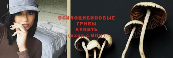 spice Алзамай