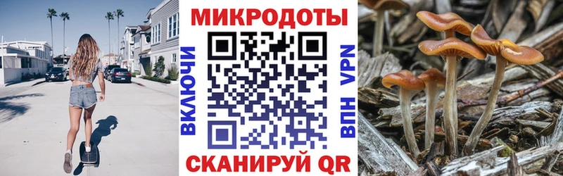 Галлюциногенные грибы Psilocybe  Жердевка 